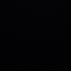 Meet your Posher, Carmella